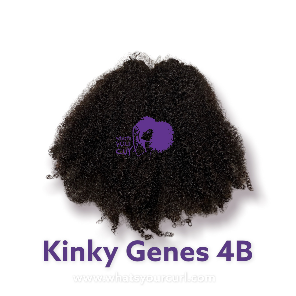 KINKY GENES (4B) WEFTED HAIR